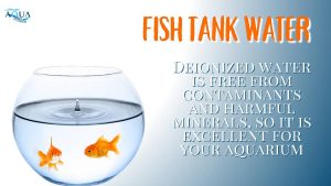 Deionized Water